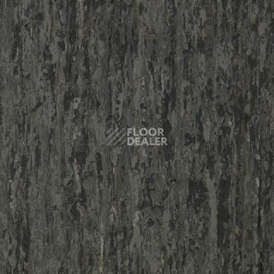 Линолеум Tarkett iq Optima DARK BEIGE GREY 0875 фото 1 | FLOORDEALER